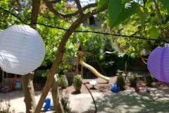 Tuin-2-Medium