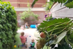 20190516_101854-480x640